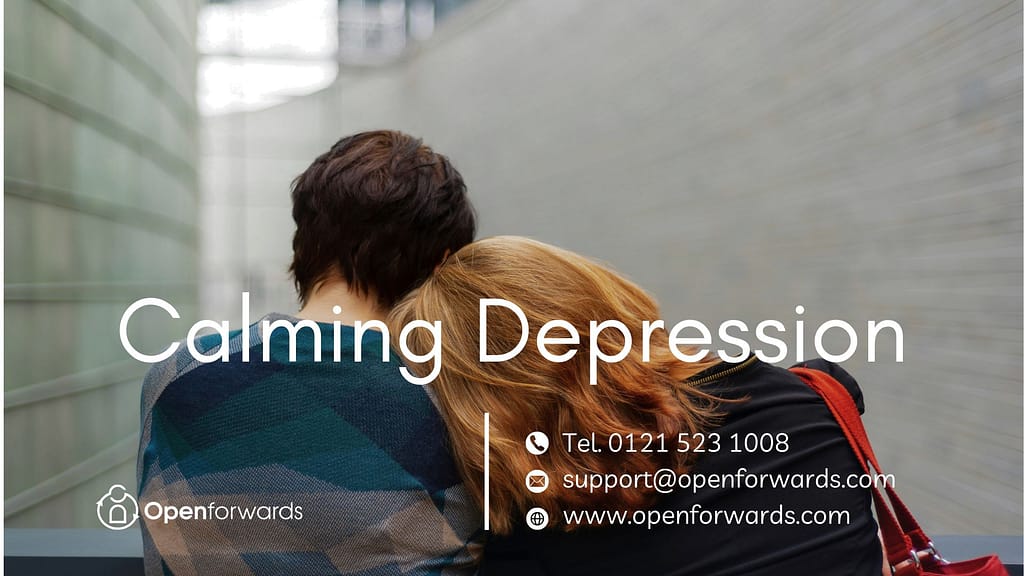 Manage Depression Guide by Chris Winson.
