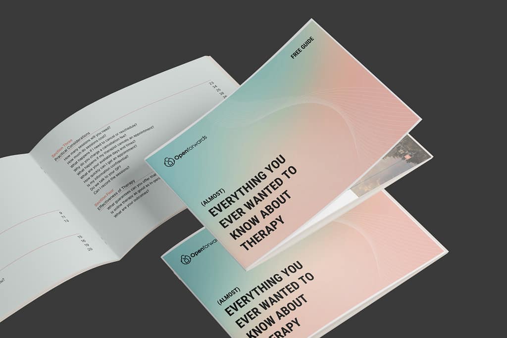 Front Cover of Almost Everything you ever wanted to know about therapy