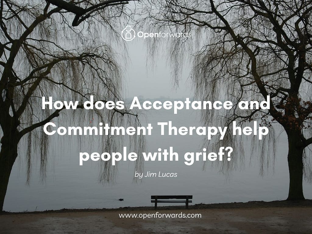 Work with Grief using ACT or Acceptance and Commitment Therapy.